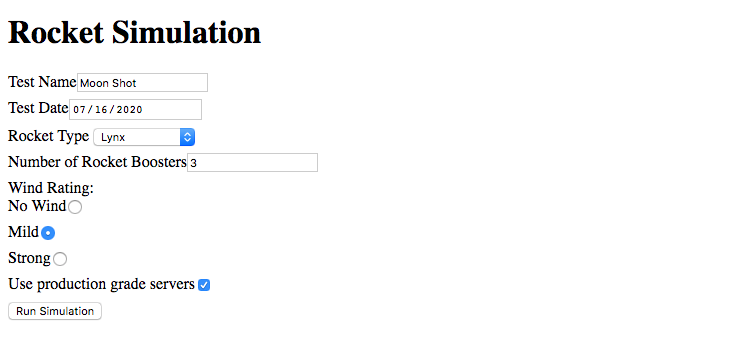 Rocket simulation form with all input fields filled out.